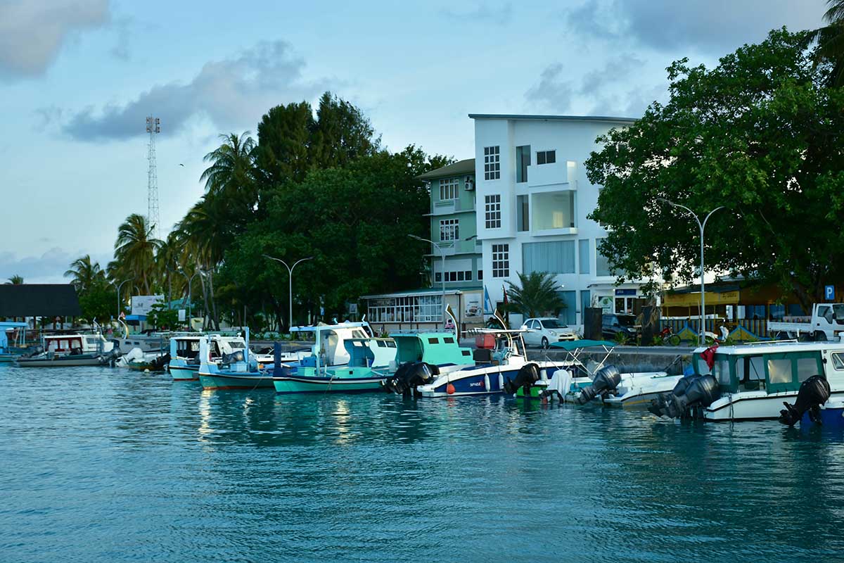 ދެ މަސް ފަހުން އޭދަފުށީގެ މޮނިޓަރިން އުވާލައިފި
