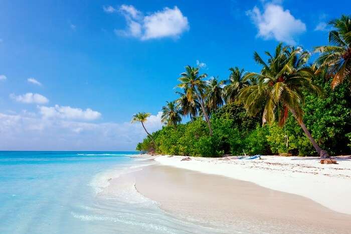 ފުޅަދޫގައި އޮޔާދިޔަ ކުދިންތަކެއް ސަލާމަތް ކުރަން އުޅުނު މީހަކު ގެނބިގެން މަރުވެއްޖެ
