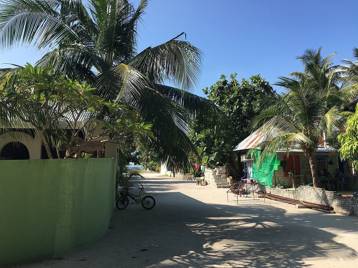 މަސްތުވާތަކެއްޗާއެކު ފެހެންދޫން މީހަކު އަތުލައިގެންފި