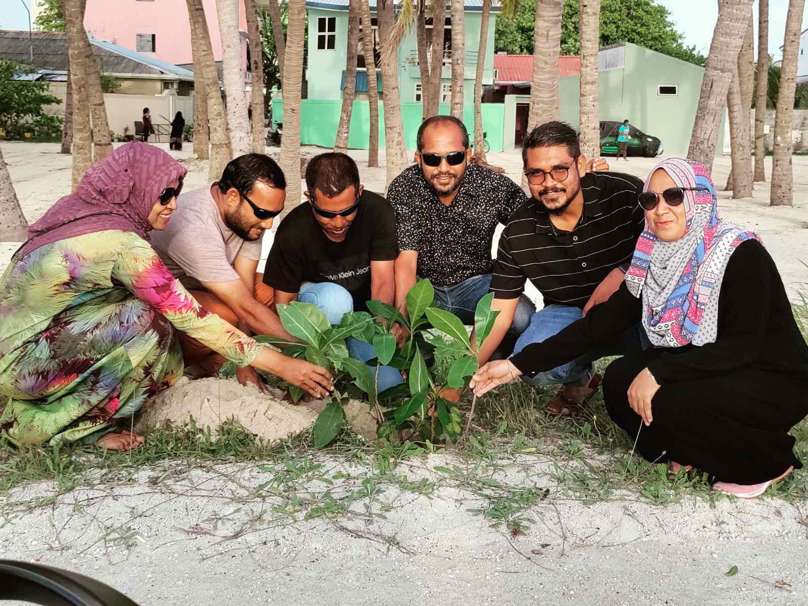 އޭދަފުށީގައި 100 ކިނބި ގަސް އިންދައިފި