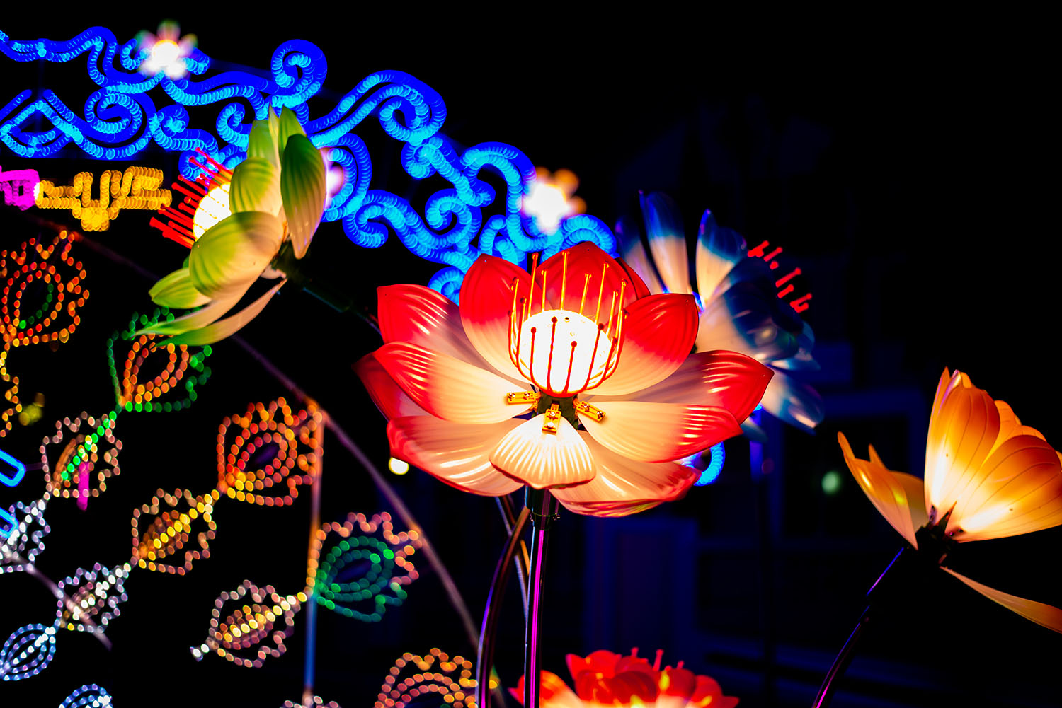 އަންނަ އަހަރު އީދު އަލިން މިއަށް ވުރެ ބޮޑަށް ރާއްޖެ ދިއްލާލާނަން: ރައީސް