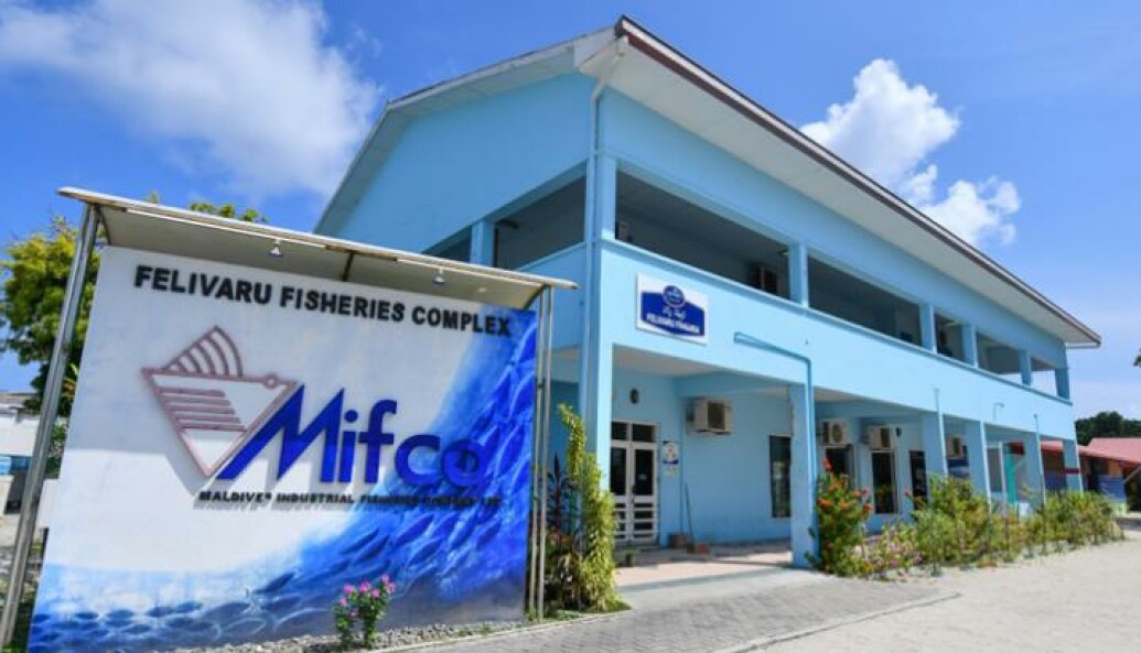 އާބާދީ ބޮޑެތި ރަށްރަށުގައި މިފްކޯގެ ފިހާރަތައް ހުޅުވަނީ